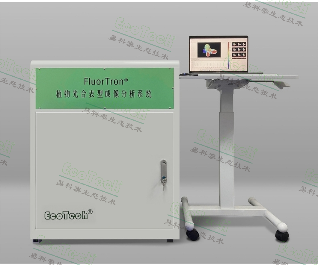 Z6��������ʱ���й����ٷ���վ