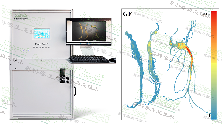 Z6��������ʱ���й����ٷ���վ