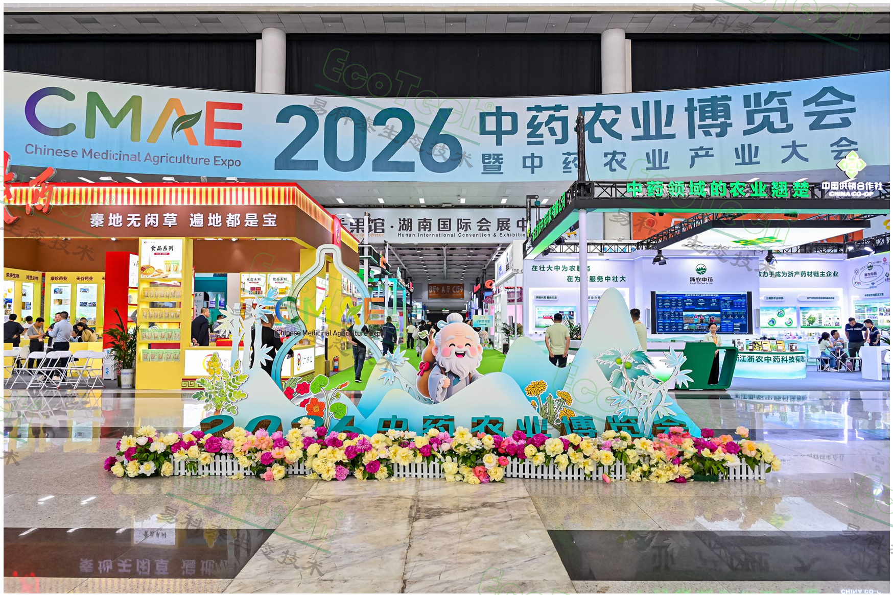 Z6��������ʱ���й����ٷ���վ