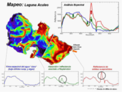 Z6��������ʱ���й����ٷ���վ