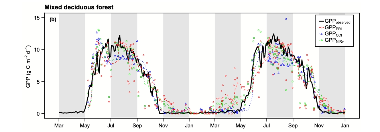 Z6��������ʱ���й����ٷ���վ