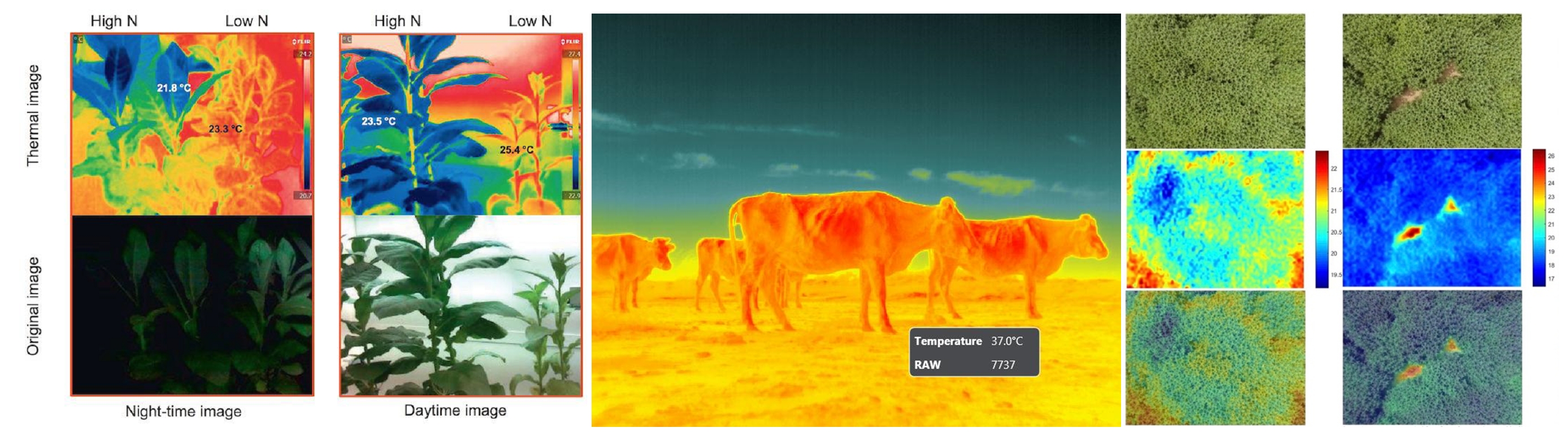 Z6��������ʱ���й����ٷ���վ