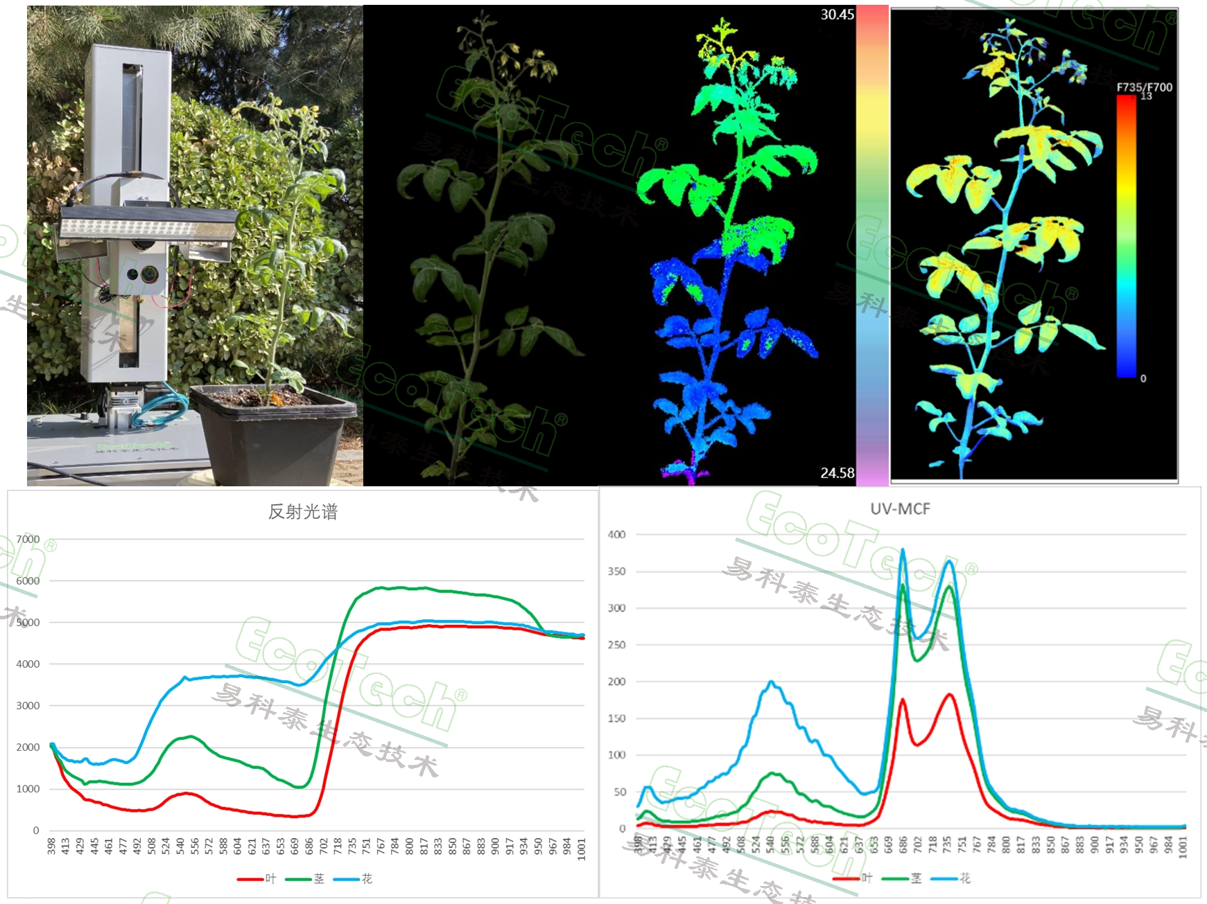 Z6��������ʱ���й����ٷ���վ