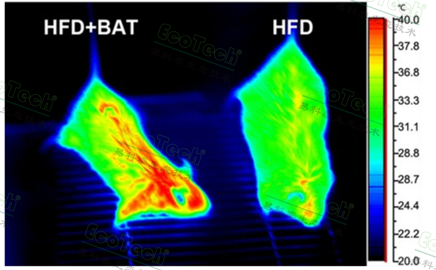 Z6��������ʱ���й����ٷ���վ