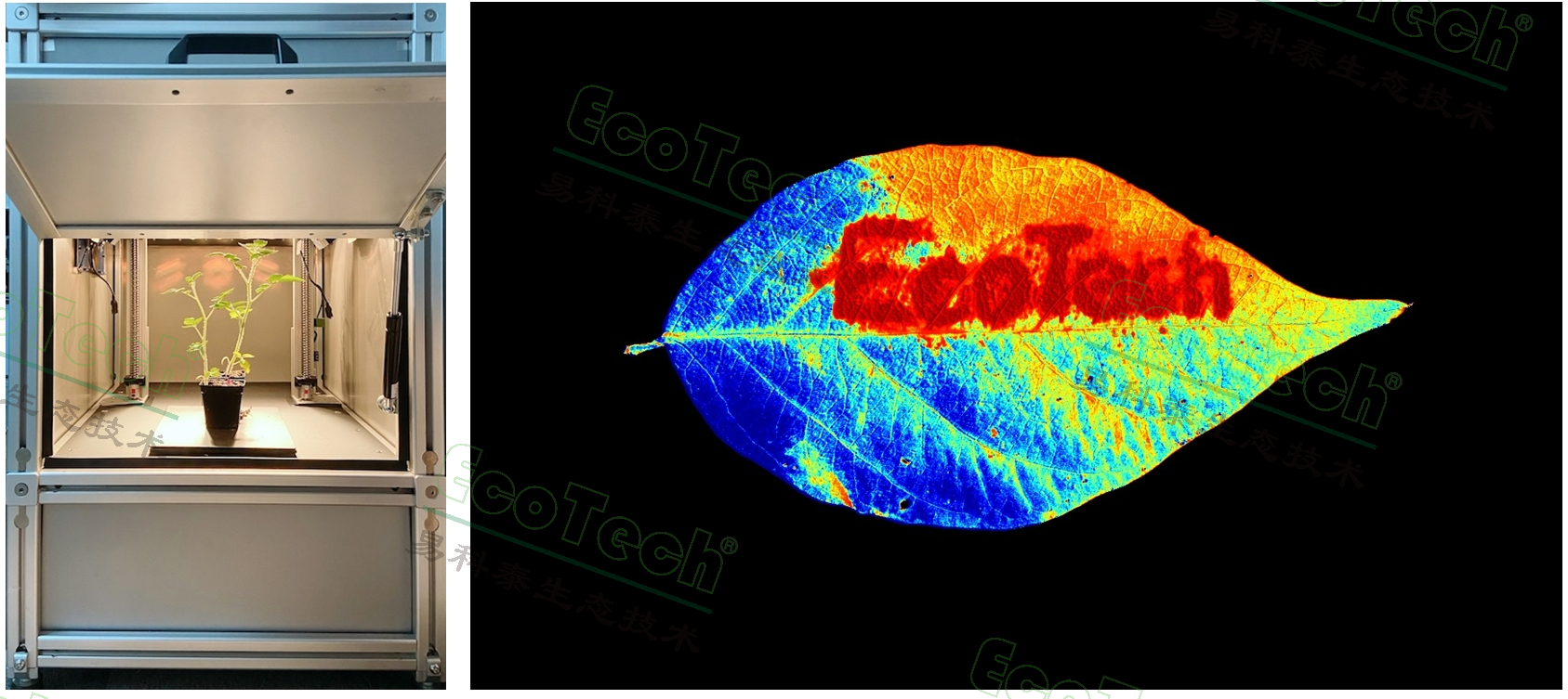 Z6��������ʱ���й����ٷ���վ