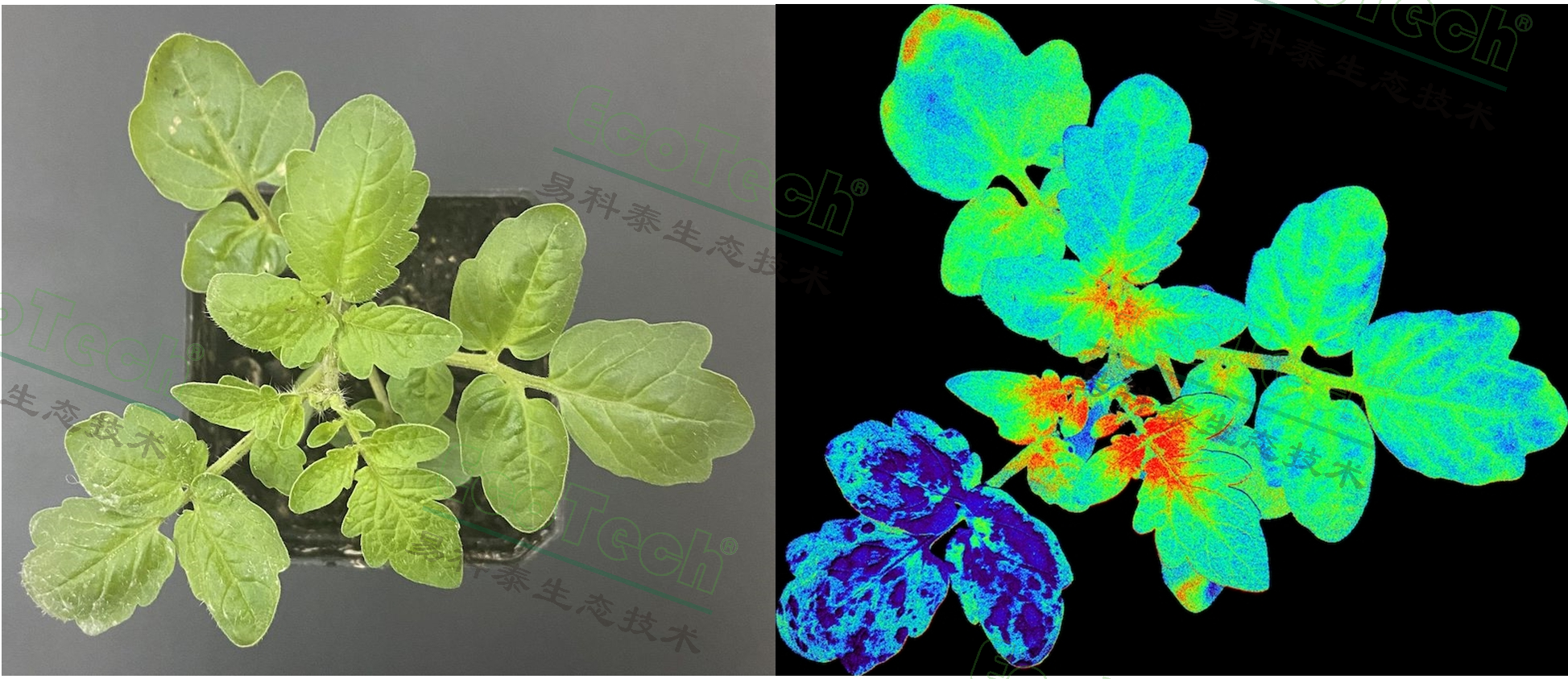 Z6��������ʱ���й����ٷ���վ