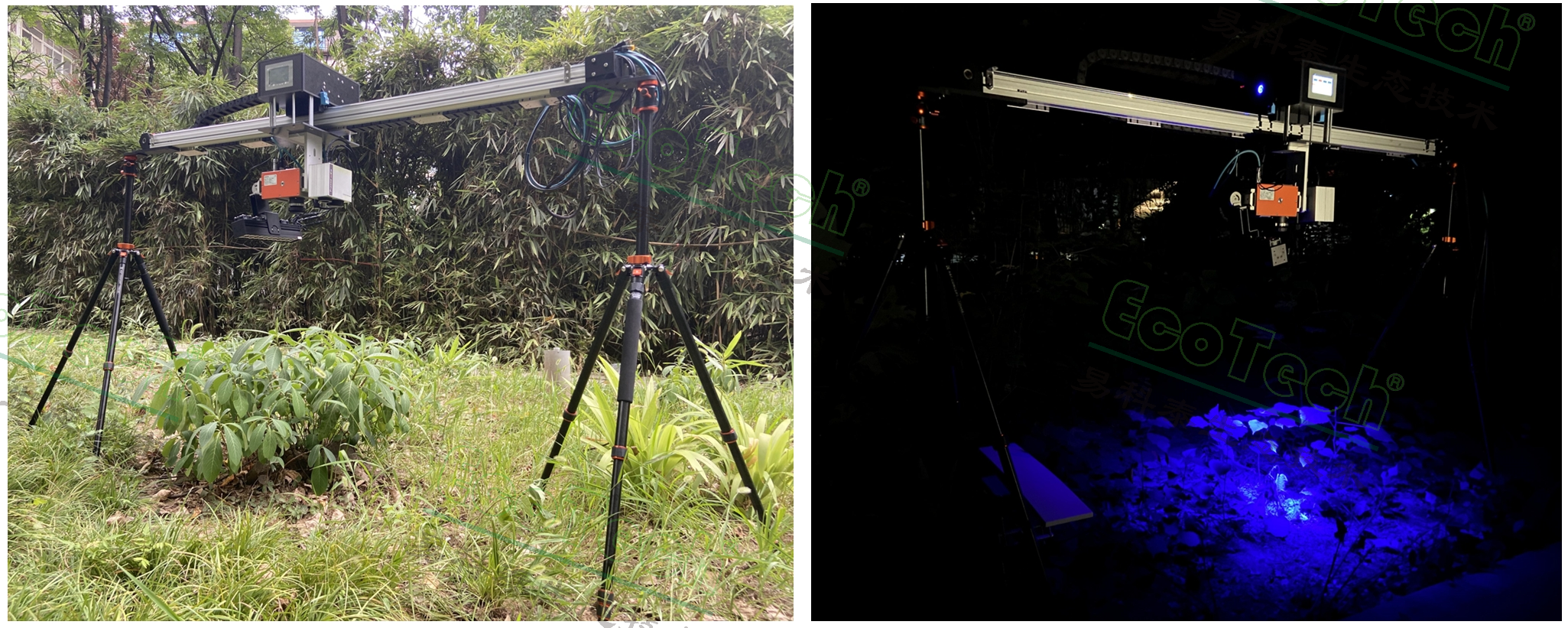 Z6��������ʱ���й����ٷ���վ