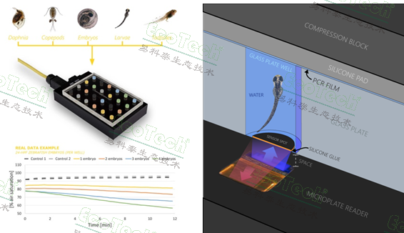 Z6��������ʱ���й����ٷ���վ