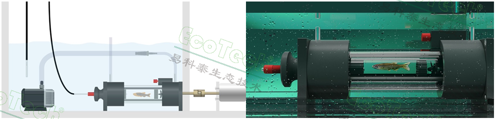 Z6��������ʱ���й����ٷ���վ