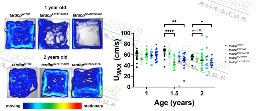 Z6��������ʱ���й����ٷ���վ