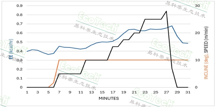Z6��������ʱ���й����ٷ���վ