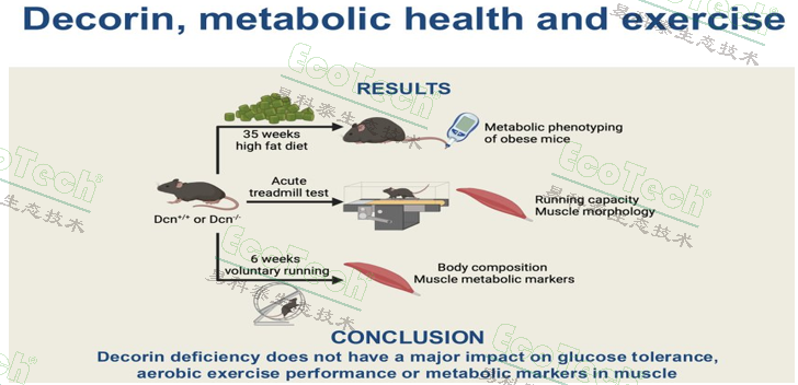 Z6��������ʱ���й����ٷ���վ