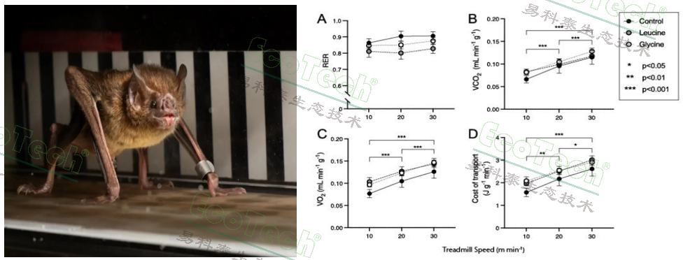 Z6��������ʱ���й����ٷ���վ