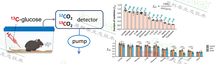 Z6��������ʱ���й����ٷ���վ