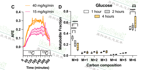Z6��������ʱ���й����ٷ���վ