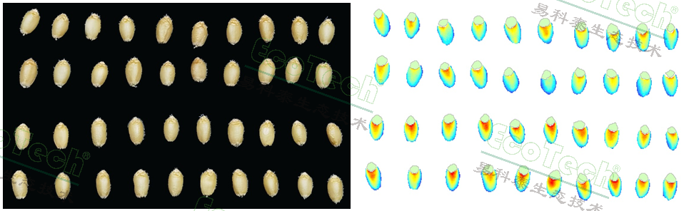 Z6��������ʱ���й����ٷ���վ