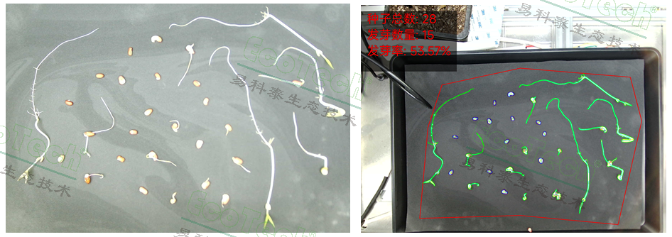 Z6��������ʱ���й����ٷ���վ