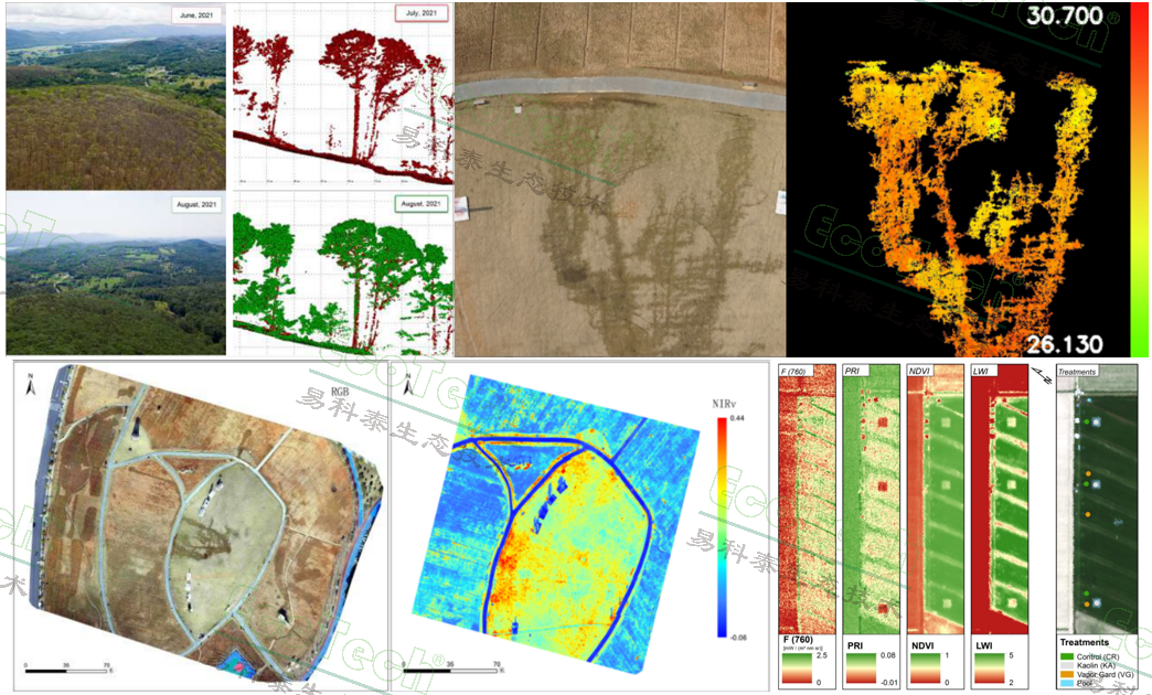 Z6��������ʱ���й����ٷ���վ