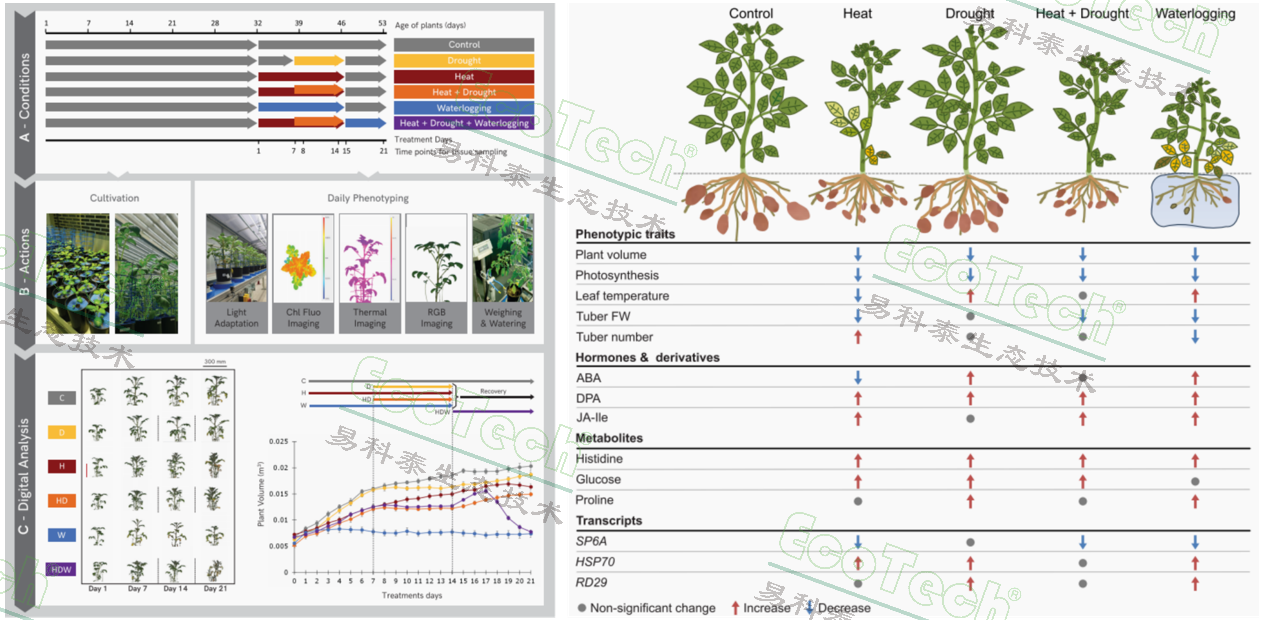 Z6��������ʱ���й����ٷ���վ