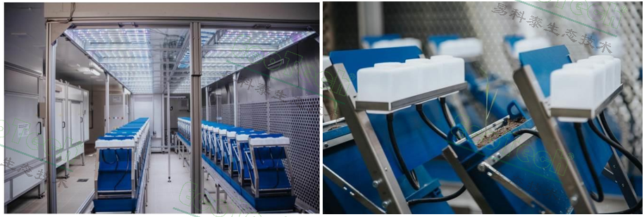 Z6��������ʱ���й����ٷ���վ