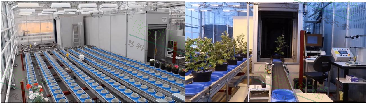 Z6��������ʱ���й����ٷ���վ