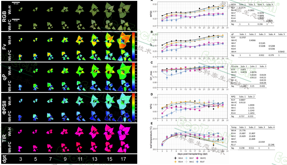 Z6��������ʱ���й����ٷ���վ
