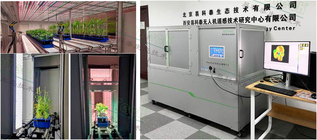 Z6��������ʱ���й����ٷ���վ