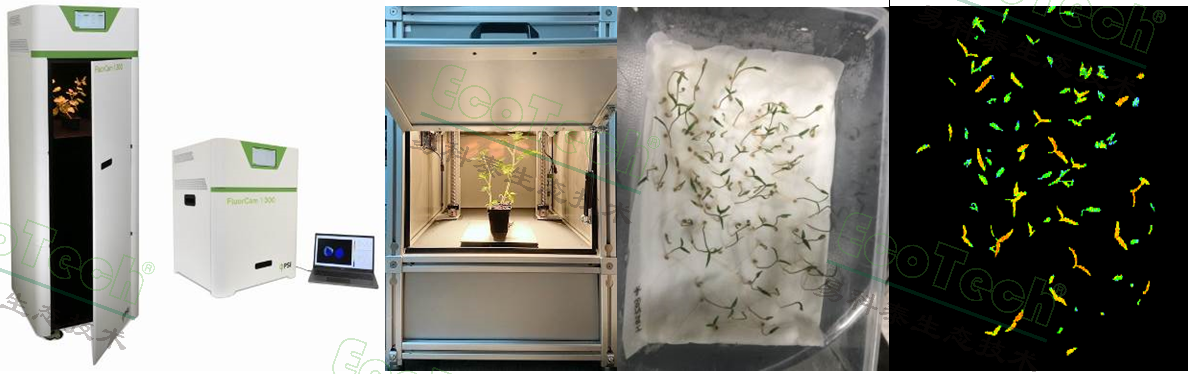 Z6��������ʱ���й����ٷ���վ