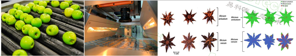 Z6��������ʱ���й����ٷ���վ