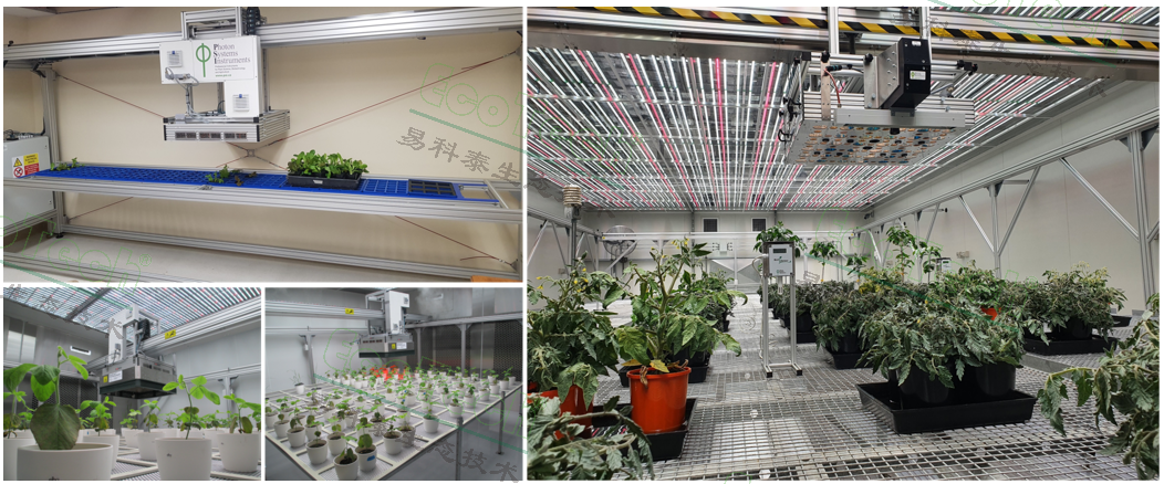 Z6��������ʱ���й����ٷ���վ