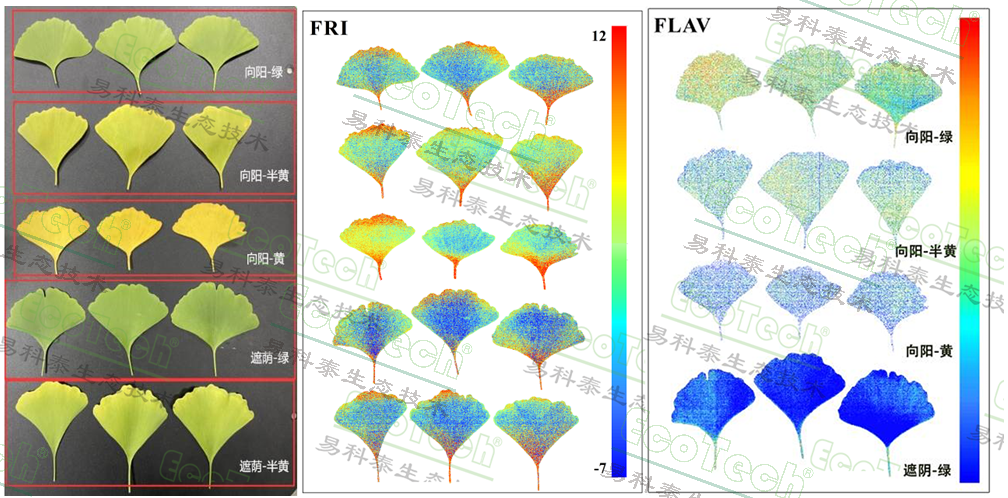 Z6��������ʱ���й����ٷ���վ