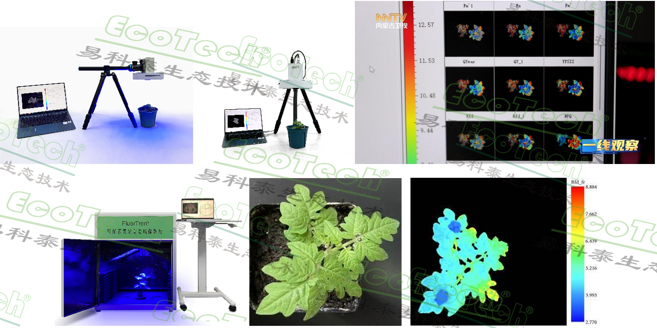 Z6��������ʱ���й����ٷ���վ