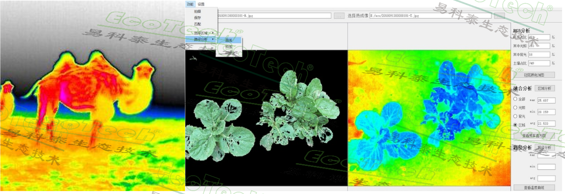 Z6��������ʱ���й����ٷ���վ