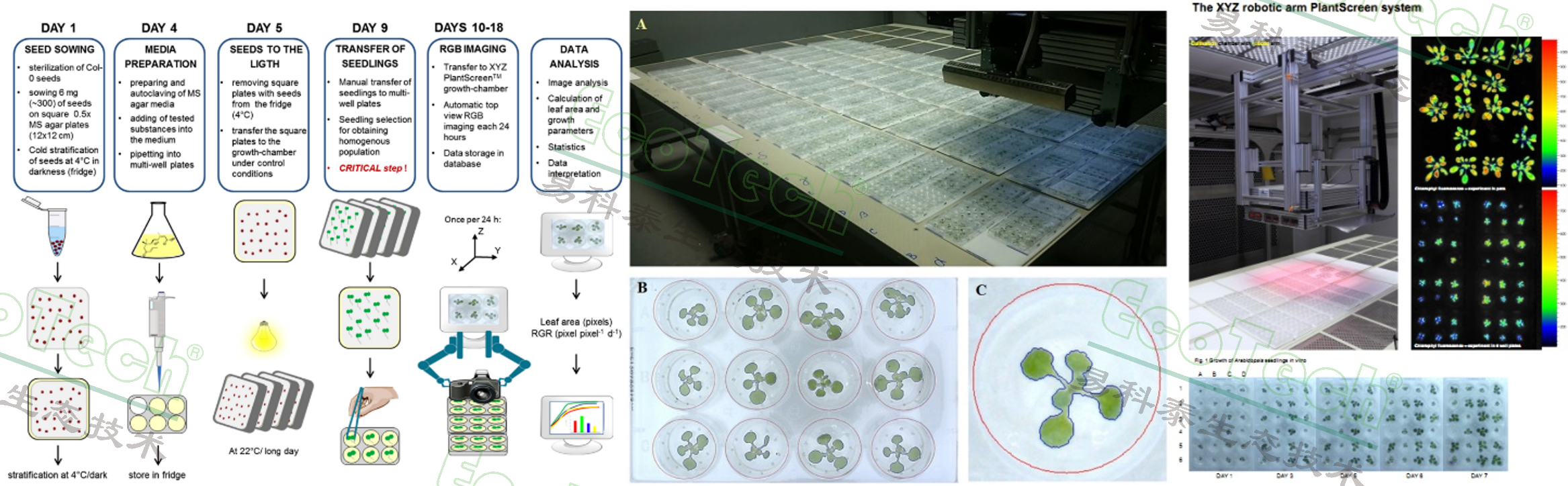 Z6��������ʱ���й����ٷ���վ