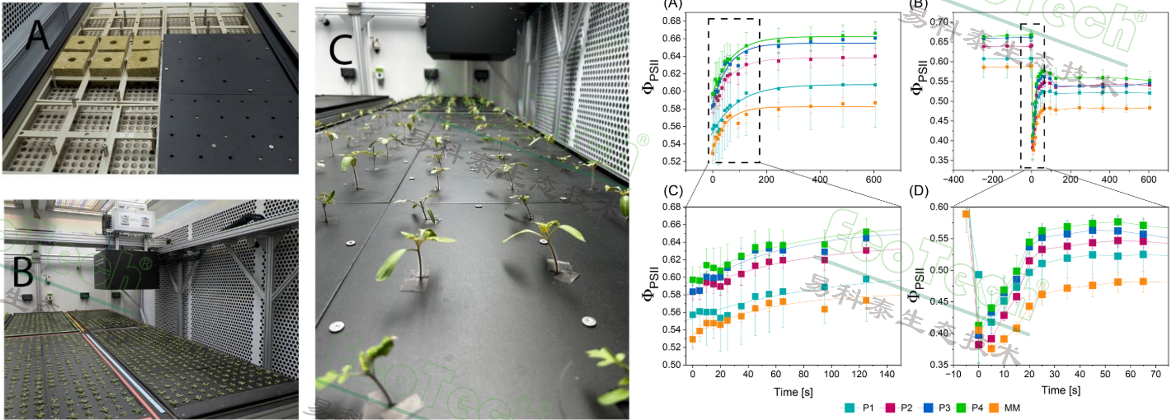 Z6��������ʱ���й����ٷ���վ