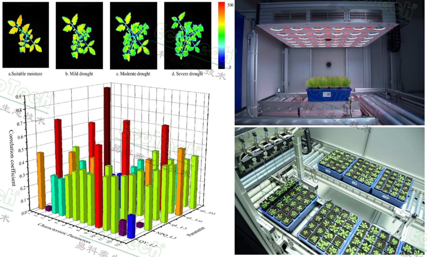 Z6��������ʱ���й����ٷ���վ