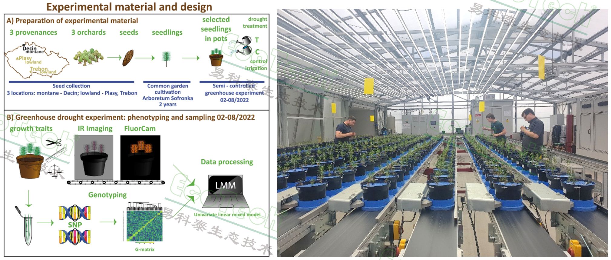 Z6��������ʱ���й����ٷ���վ