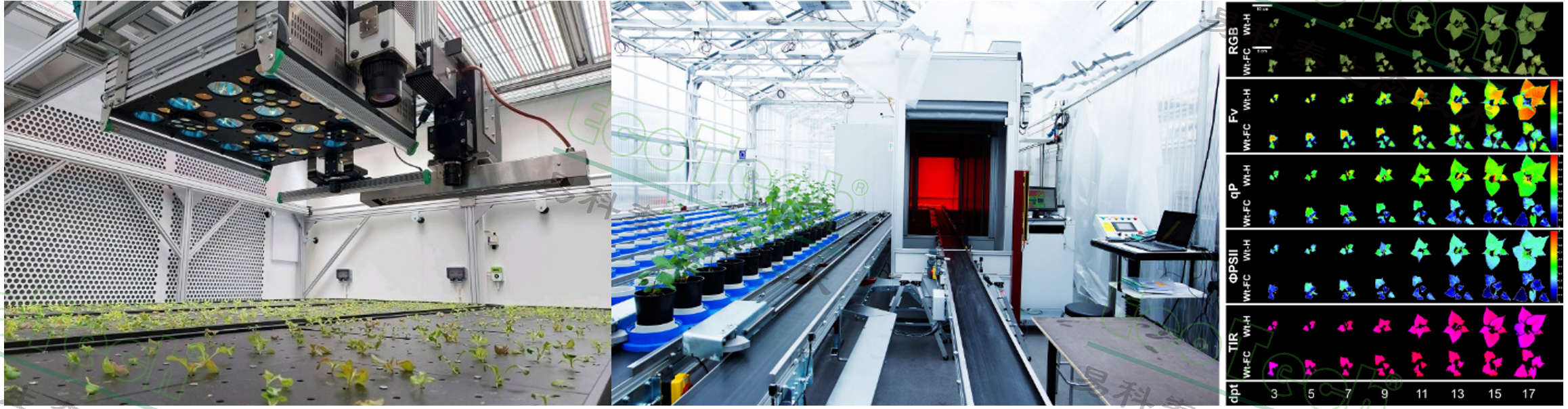 Z6��������ʱ���й����ٷ���վ