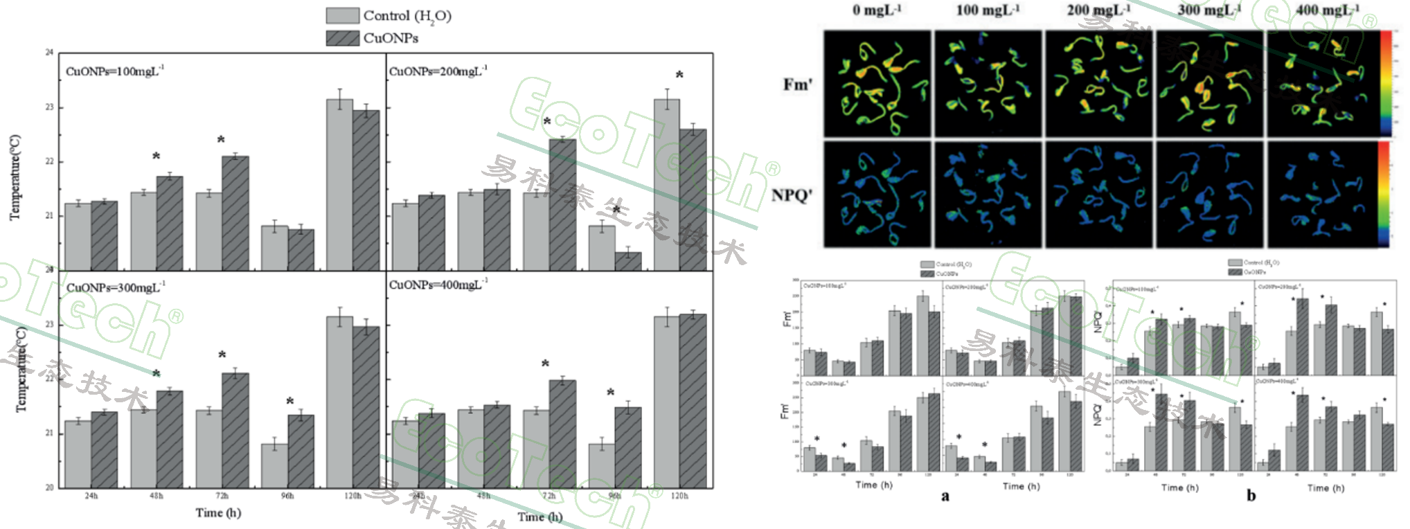 Z6��������ʱ���й����ٷ���վ