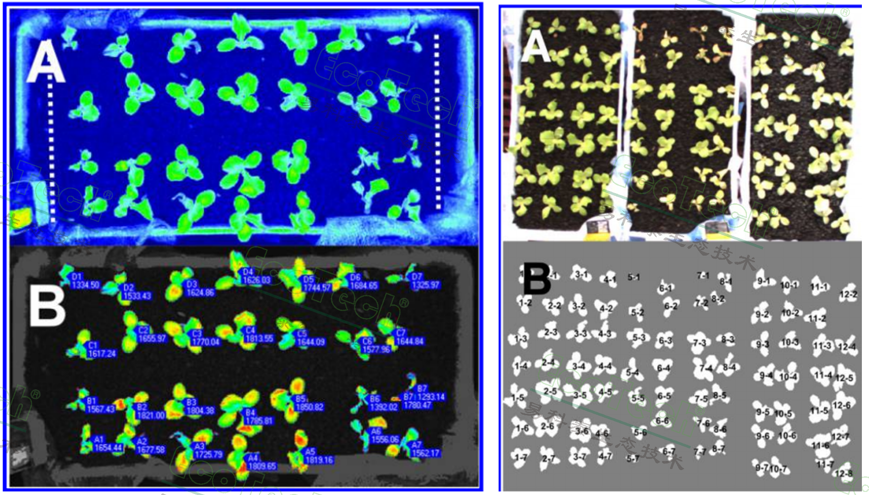 Z6��������ʱ���й����ٷ���վ