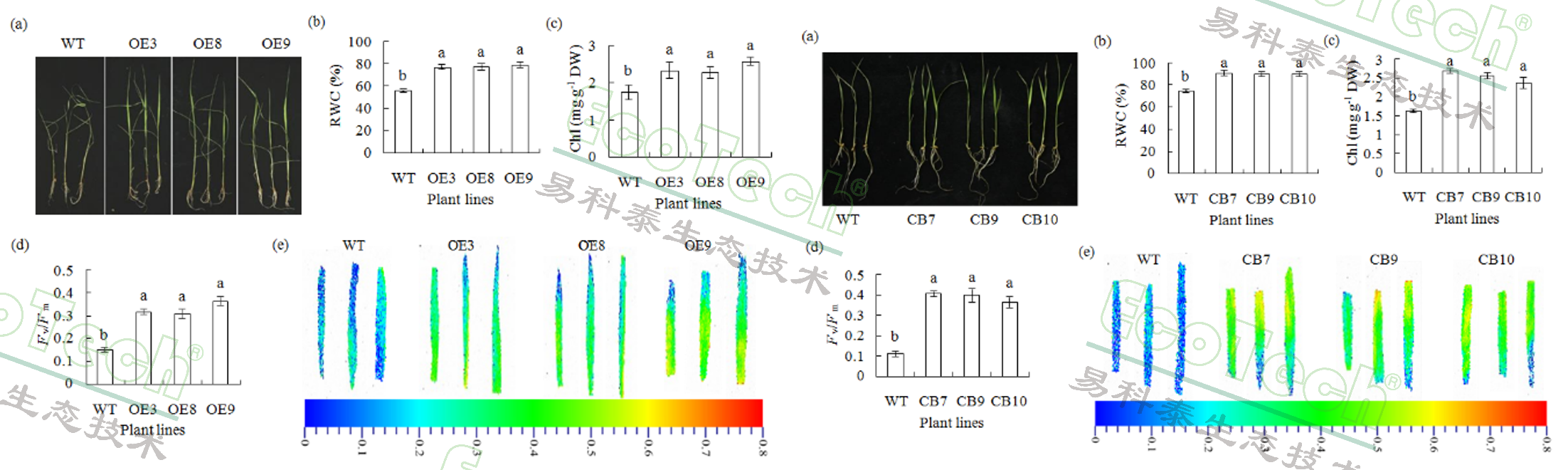 Z6��������ʱ���й����ٷ���վ