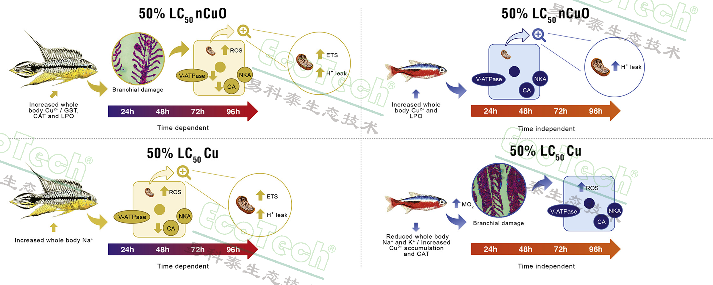 Z6��������ʱ���й����ٷ���վ