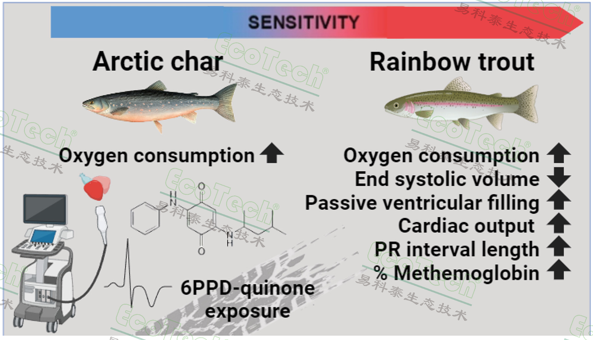Z6��������ʱ���й����ٷ���վ