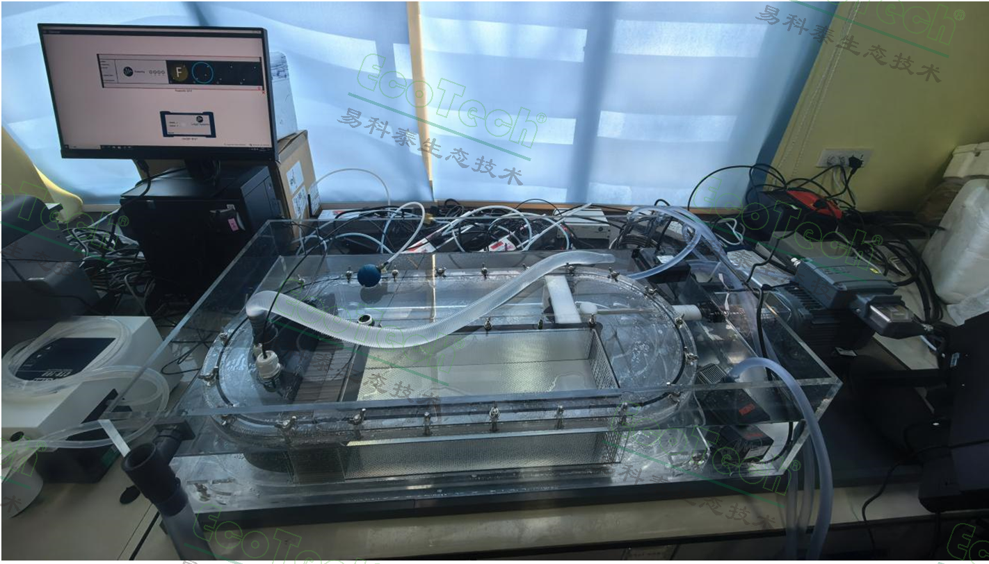 Z6��������ʱ���й����ٷ���վ