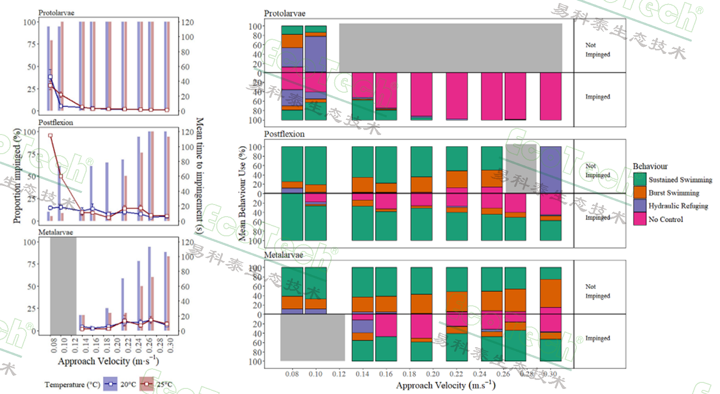 Z6��������ʱ���й����ٷ���վ