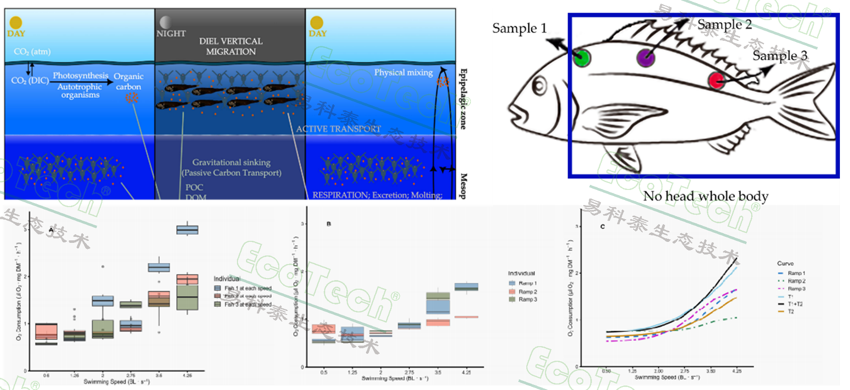 Z6��������ʱ���й����ٷ���վ