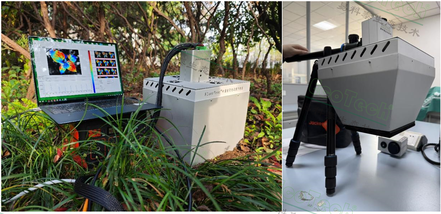 Z6��������ʱ���й����ٷ���վ