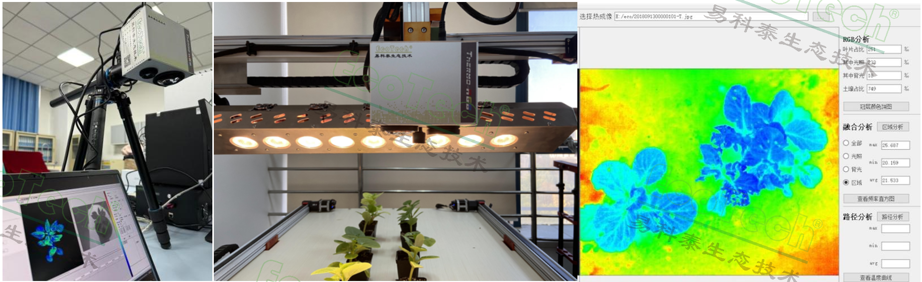 Z6��������ʱ���й����ٷ���վ