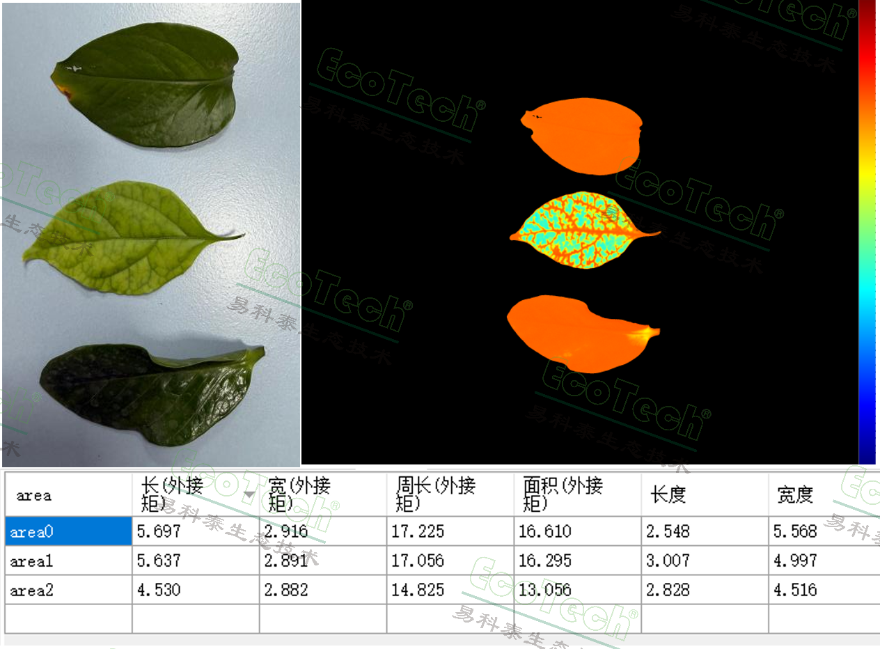 Z6��������ʱ���й����ٷ���վ