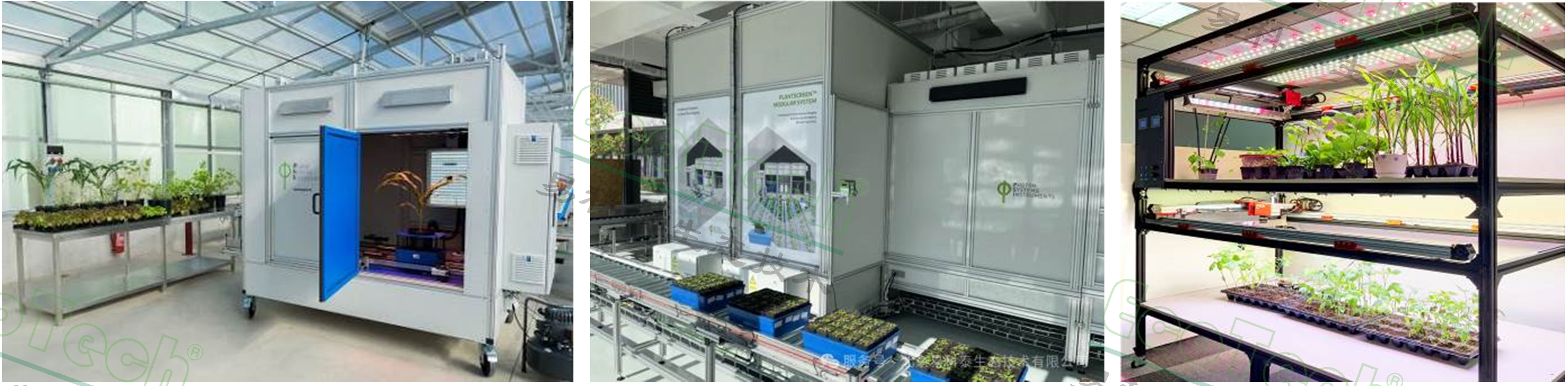 Z6��������ʱ���й����ٷ���վ